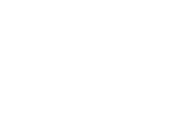 baumgartnermedia.at